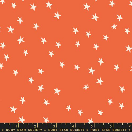 Starry Nutmeg